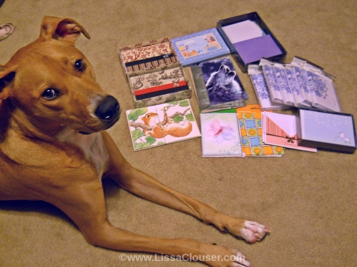 Note Cards and Dog